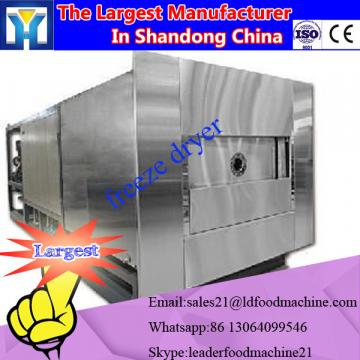 Lyophilization machine for vegetables / Food /fruit /vegetable freeze dryer /lyophilizer Industrial scale