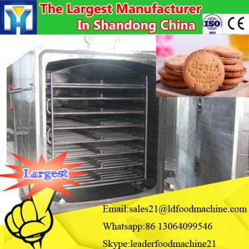 Drying machine for food / meat / vegetable / fish / dehydrator machine with hot air system