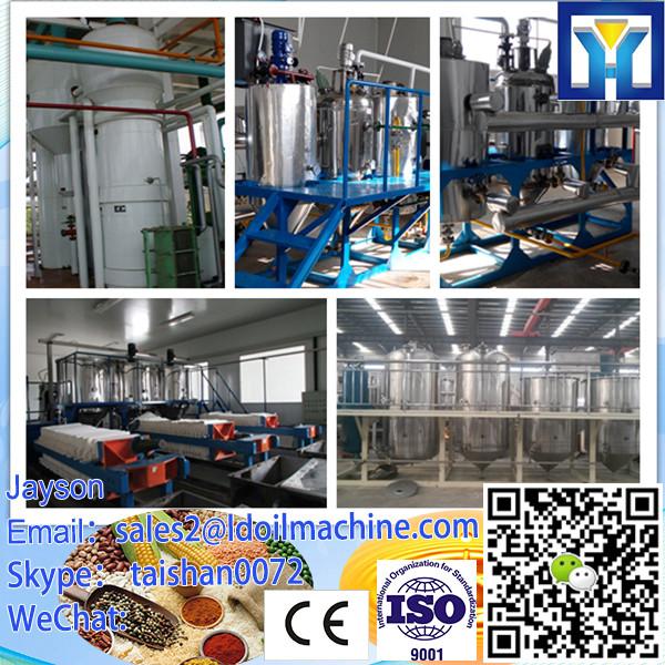 CE&amp;ISO9001 approved vegetable oil extractor #2 image