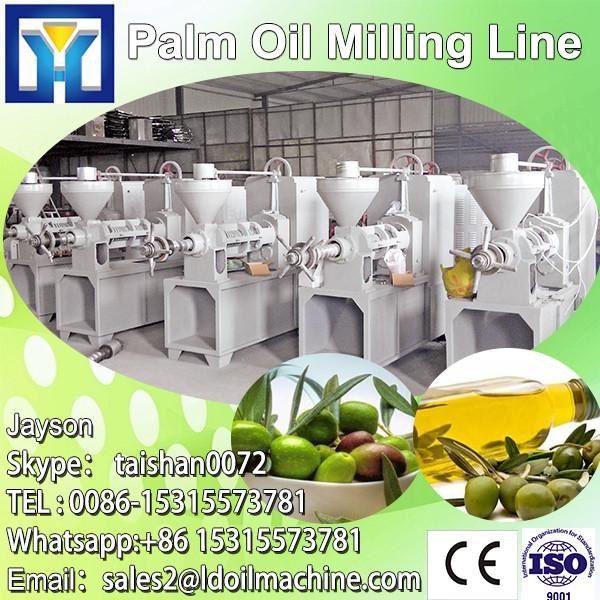 10 T/D- 300t/d palm kernel oil machine #1 image