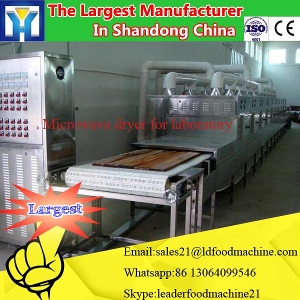 Custom Mulit-Functin Custom Fish Mini Freeze Dryer #1 image