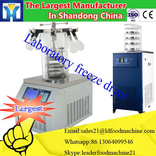 10M3 Fresh Blackberry Vacuum Freeze Dryer #2 image