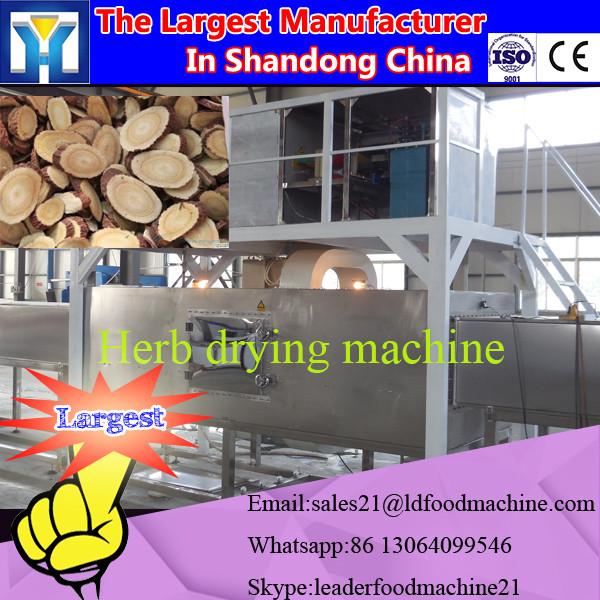 Hot Sale China Factory Price Herb Drying Machine / Vegetable Dehydration #2 image