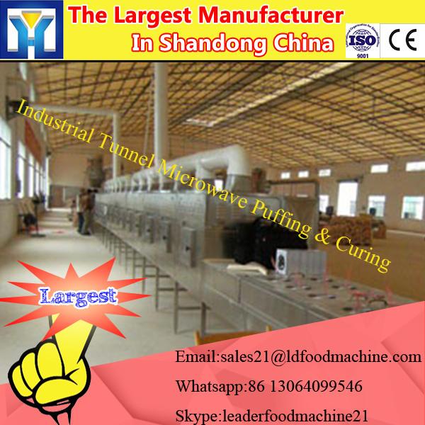 China tomato processing machine/tomato dryer oven/ginger dehydrator #1 image