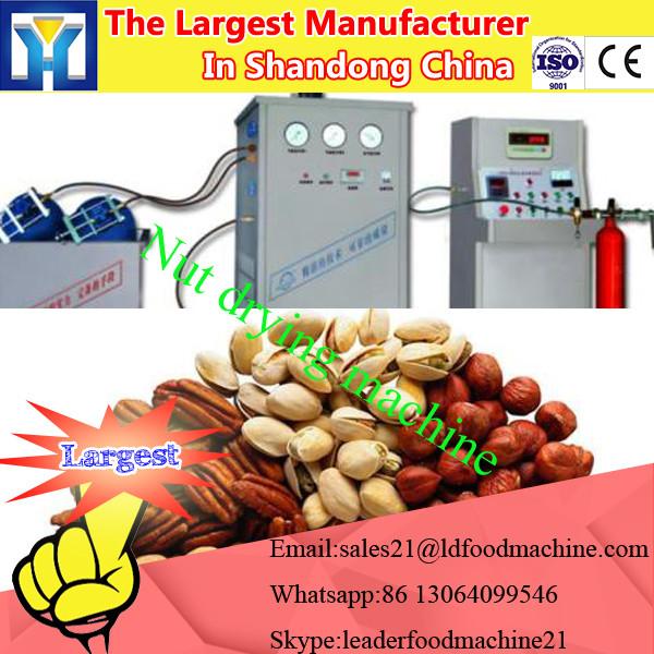 Fruit dehydration machines, vegetable drying machine, industrial fruit dryers #1 image