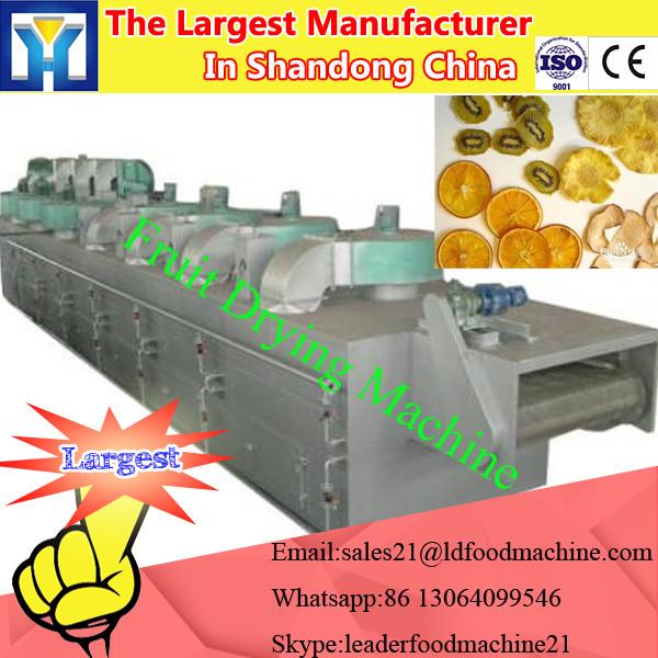 Commercial fruit drying machine and drying machine for industrial fruit and vegetable #1 image