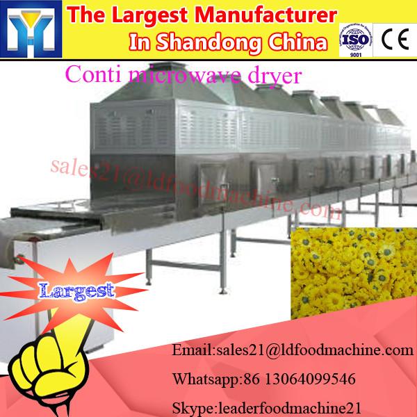 China Commercial Dehydrator Onion Drying Machine #2 image